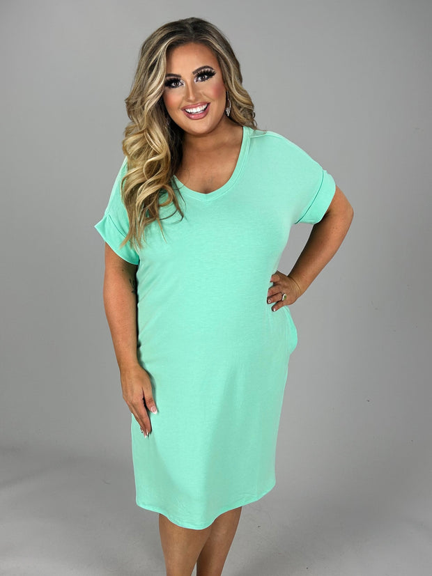 51 SSS {Stating My Opinion} Mint Green V-Neck Dress PLUS SIZE 1X 2X 3X