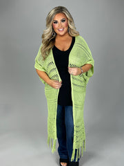 SALE!! OT-D (Sage Advice} Lt. Green Sweater With Fringe Detail & Back Lace Insert PLUS SIZE 1X 2X 3X