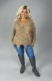 1-35 SLS-A (Break It Down} Multi-Color V-Neck Sweater PLUS SIZE 1X 2X 3X