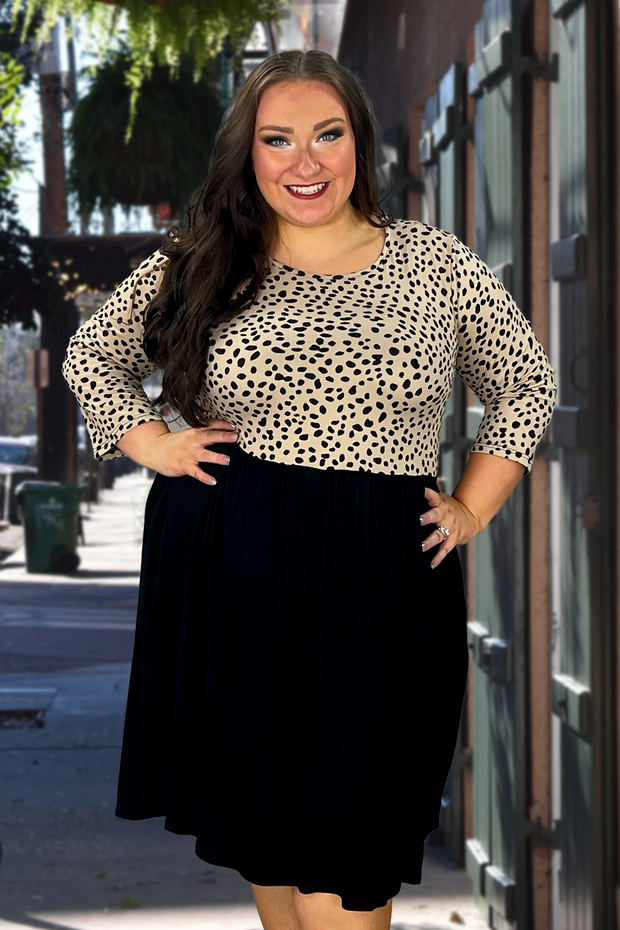 82 CP-C {Little Lady} Taupe/Black Dalmatian Print Dress (belt sold separately) PLUS SIZE 1X 2X 3X