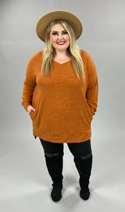 56 SLS-K {Cozy Nights} Almond V-Neck Top PLUS SIZE 1X 2X 3X